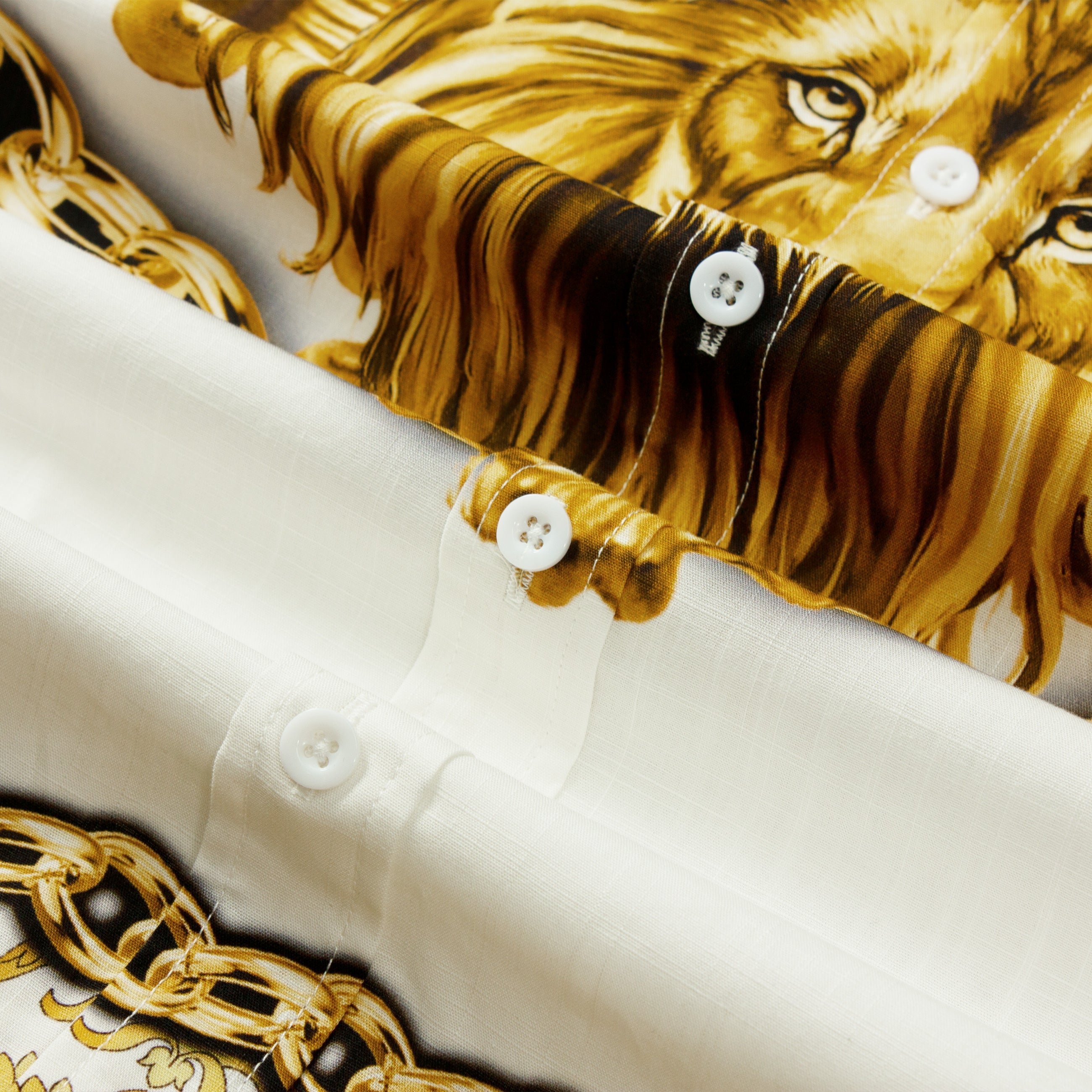 Lion's Legacy Jonvidesign