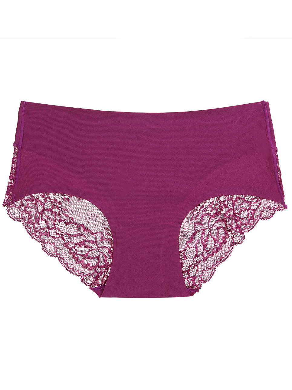 Lace-trimmed Sheer Breathable Underwear