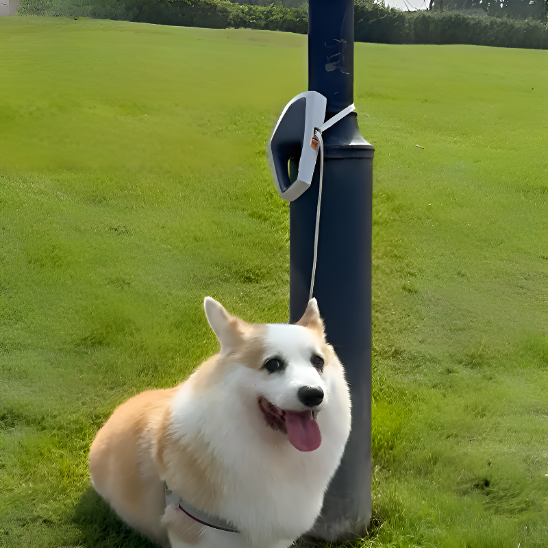 Correa retráctil para perros, uso manos libres