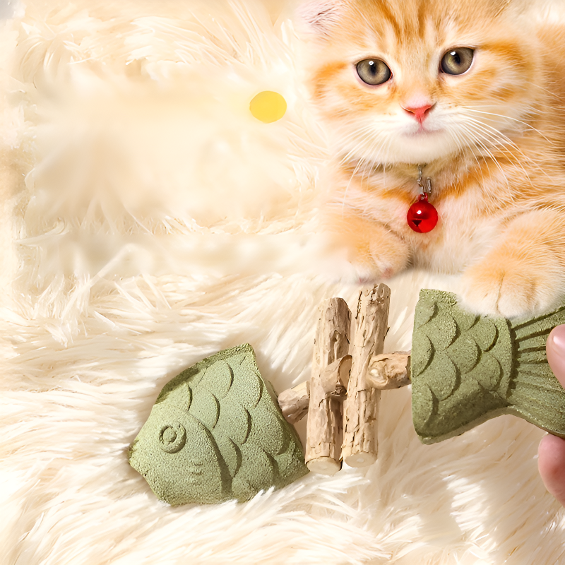 Bastones de Polygonum para moler dientes en casa