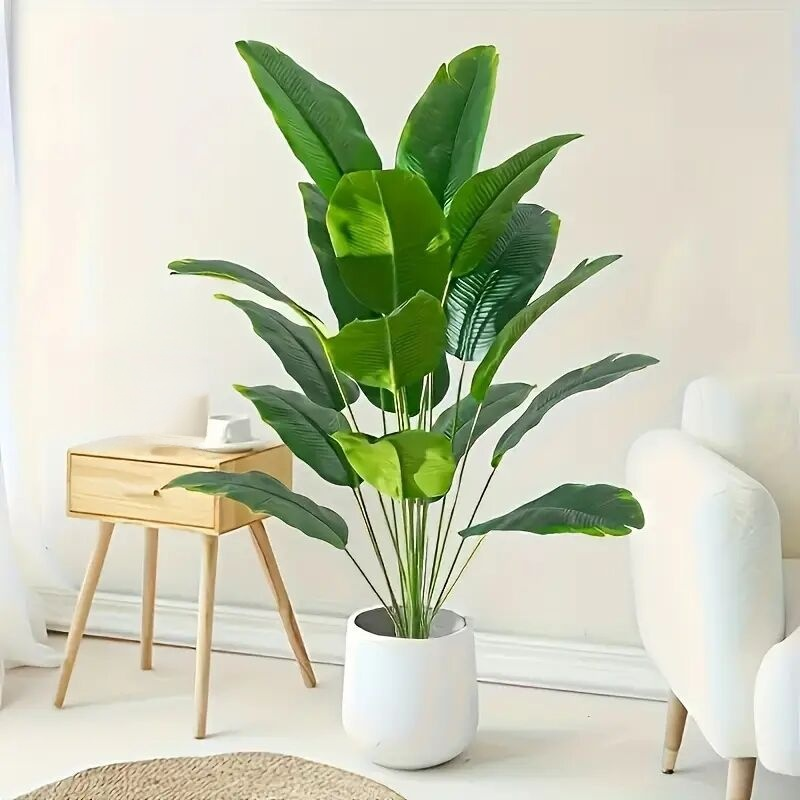 Traveler's palm green potted plant
