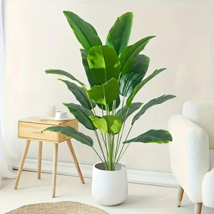 Traveler's palm green potted plant