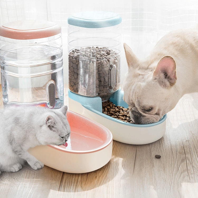 Cat Dog Food Storage Container Automatic Feeding and Water Bowl Set