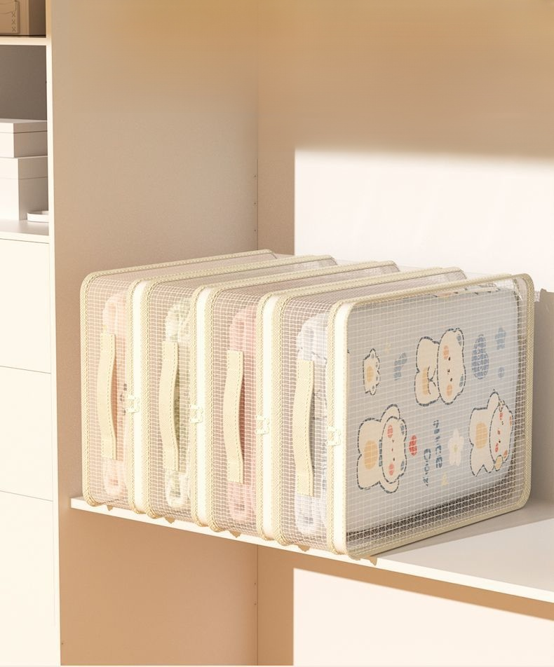 Closet organizer bags with mesh and dividers