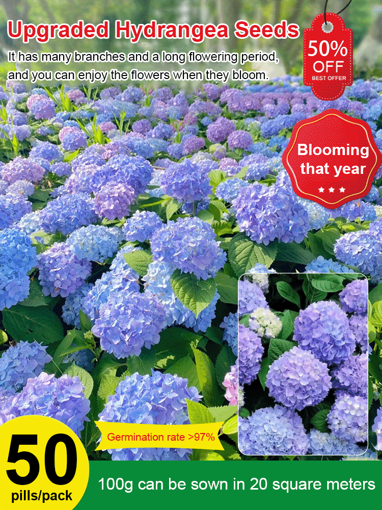 【Horticultural Society Certified】Hydrangeas that Bloom All Season Long! Premium Seed Collection.