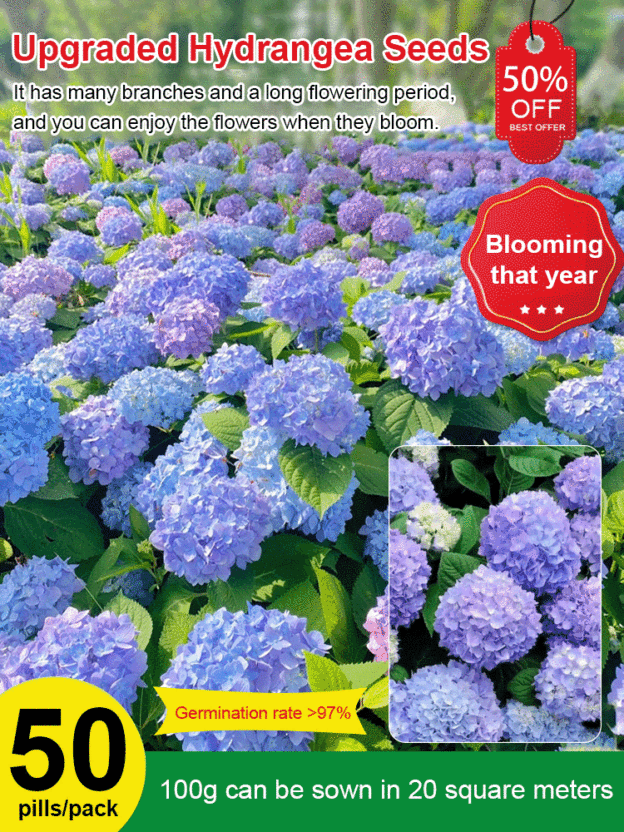 【Horticultural Society Certified】Hydrangeas that Bloom All Season Long! Premium Seed Collection.
