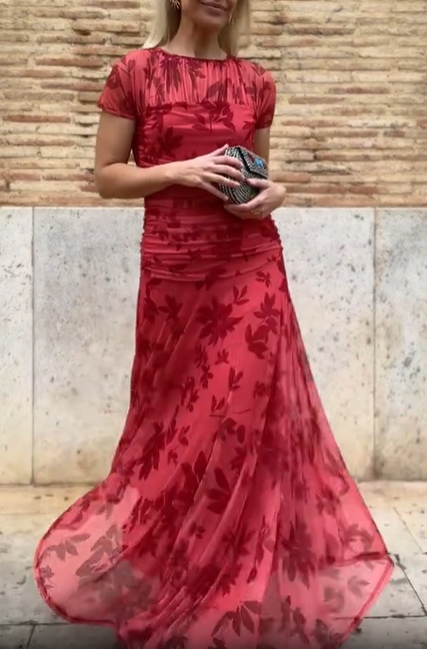 Red Whispering Elegance Mesh Dress