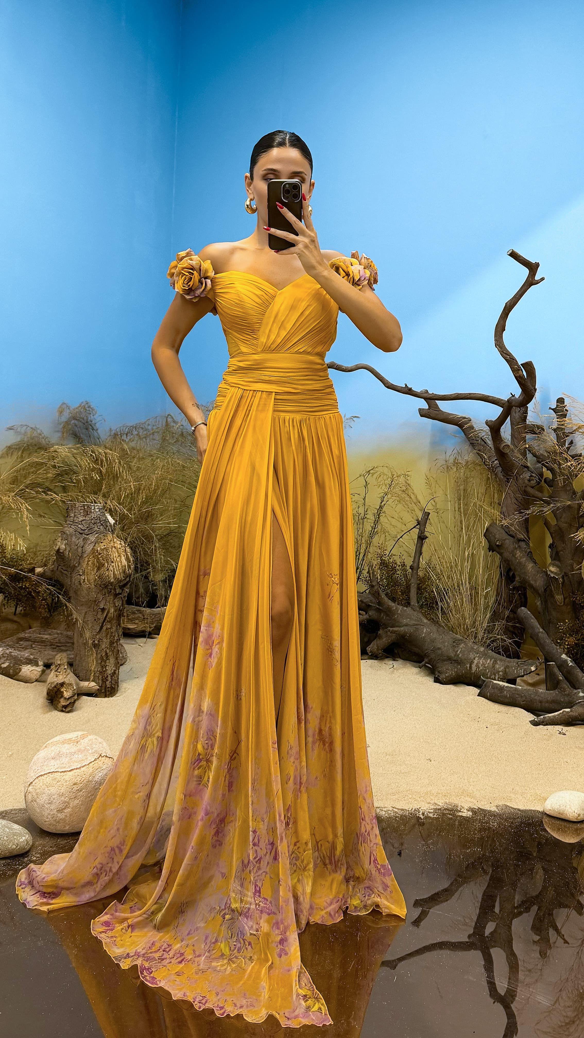 Waist Detail Patterned Chiffon Evening Dress