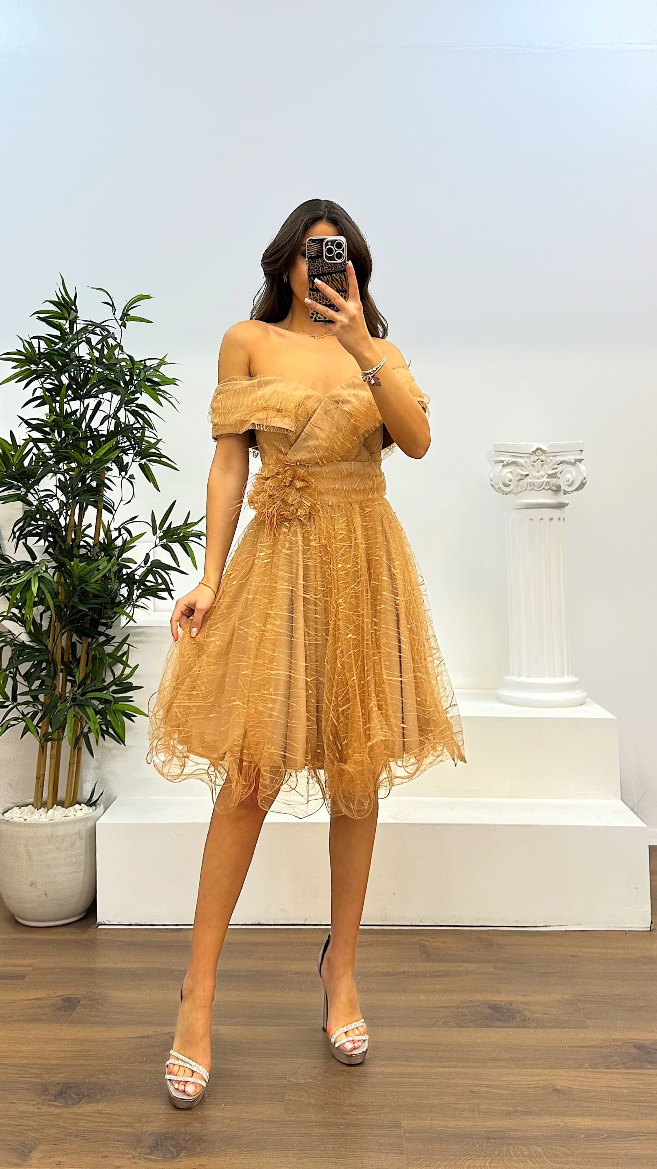 Madonna Collar Tulle Mini Evening Dress