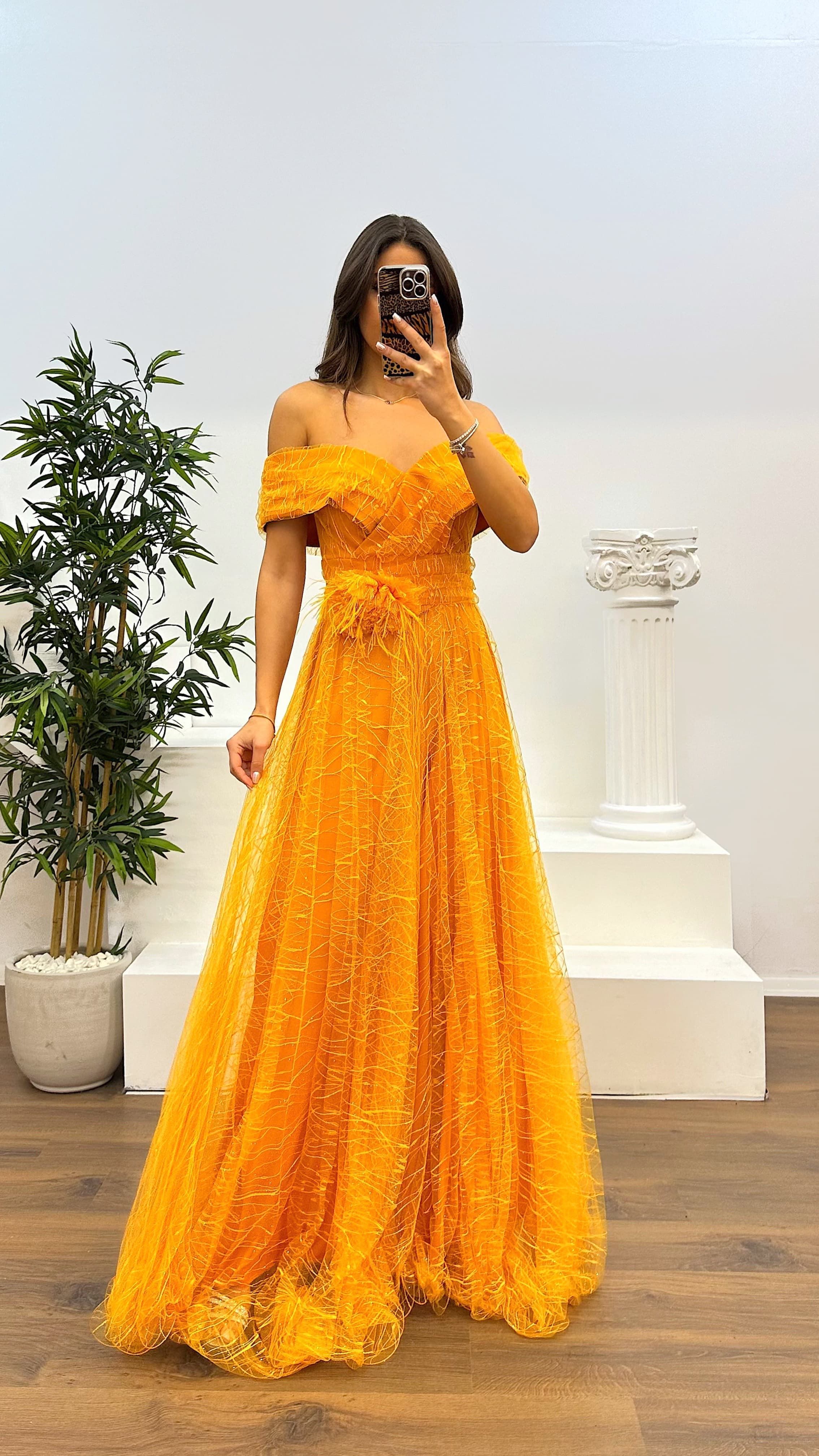 Madonna Collar Tulle Evening Dress