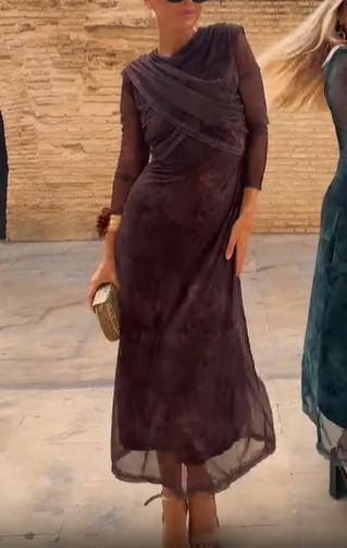 Lucy Brown Dress