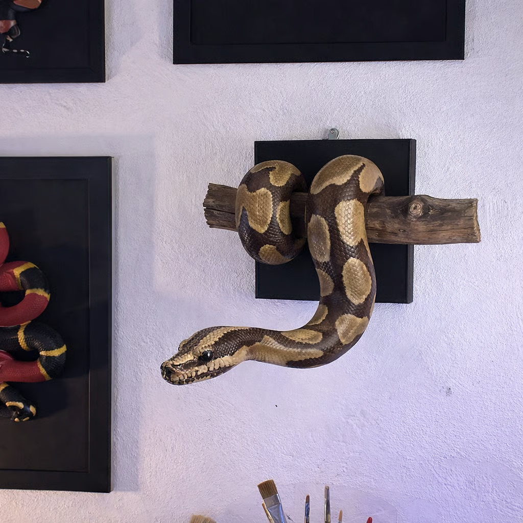 Golden Ball Python Wall Sculpture | Symbol of Strength & Prosperity🖤 Buy 2 Free Shipping