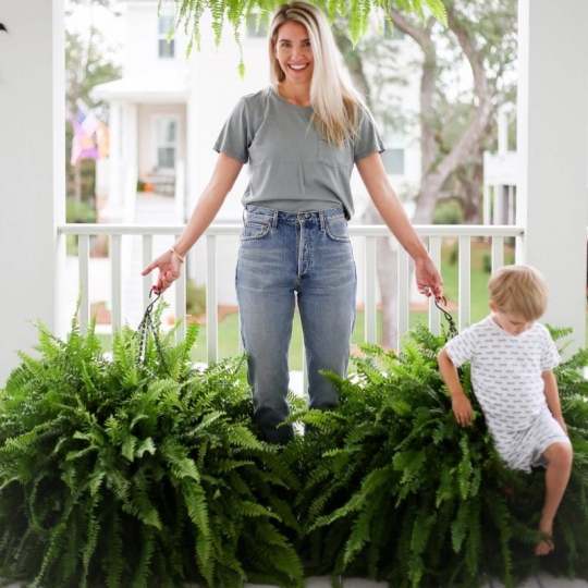 🔥 $9.98 On Sale Only Today 🌱 UV-Resistant Lifelike Artificial Boston Fern