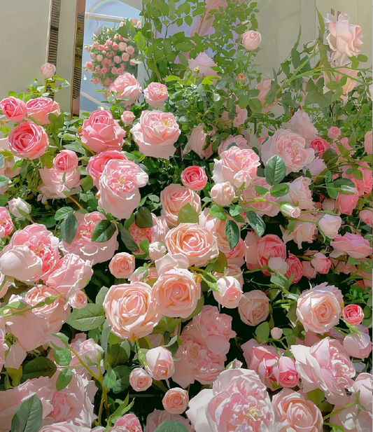 Rare Rose