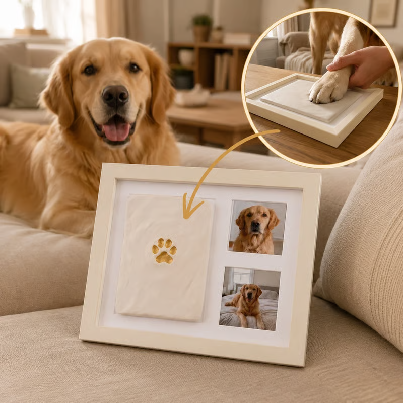 Paw Print Keepsake Frame — A Little Paw Print, A Lifetime Of Love