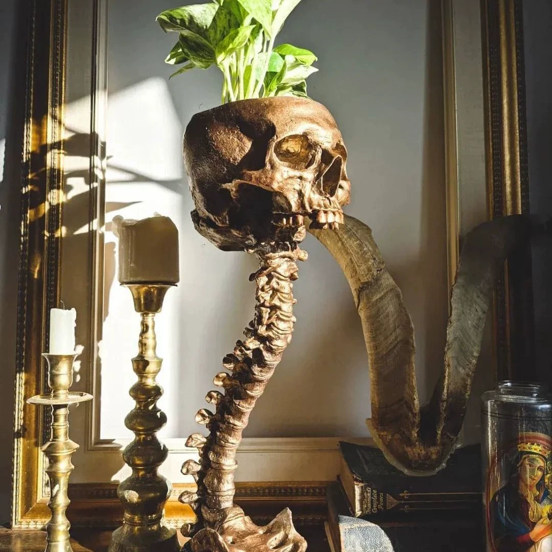 Gothic Skull Planter and Skeleton Vase, 11.6-Inch Spooky Home Decor