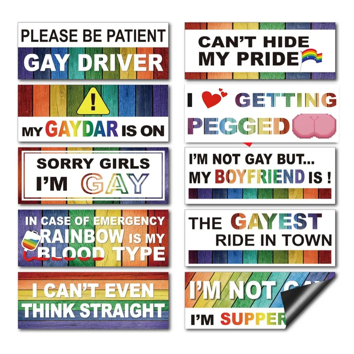 Funny Gay Pride Rainbow Magnet Bumper Sticker 