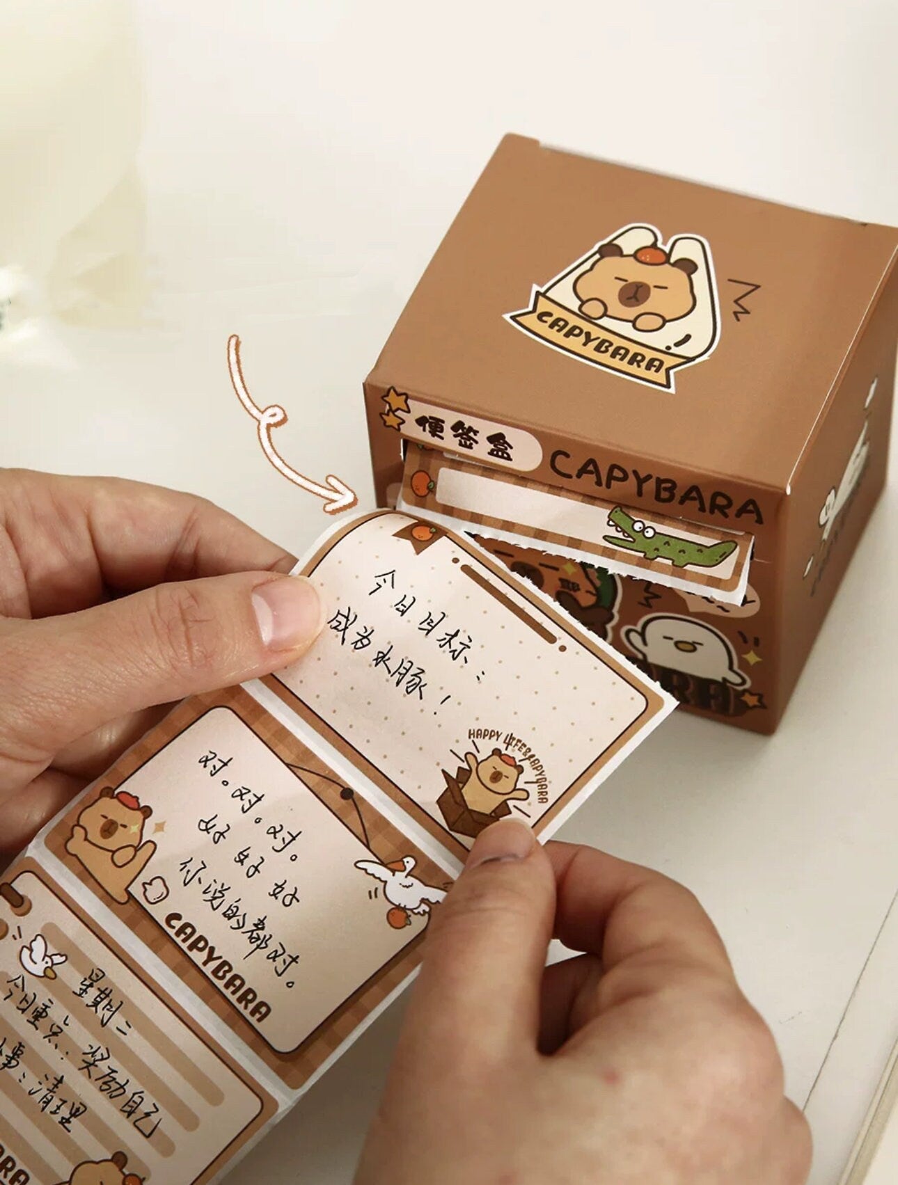 Capybara sticker note roll 256pcs