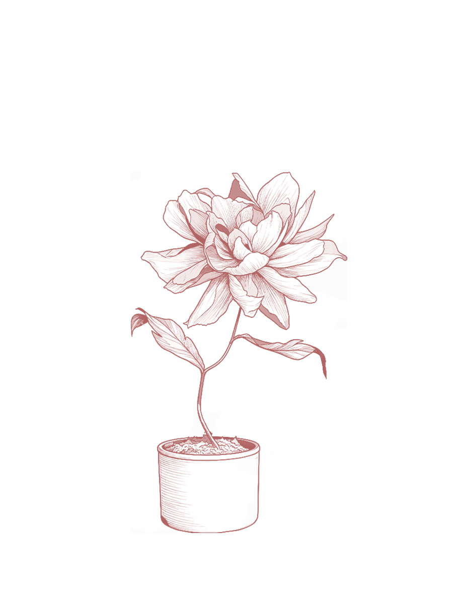 pots de fleurs en papier crépon盆栽