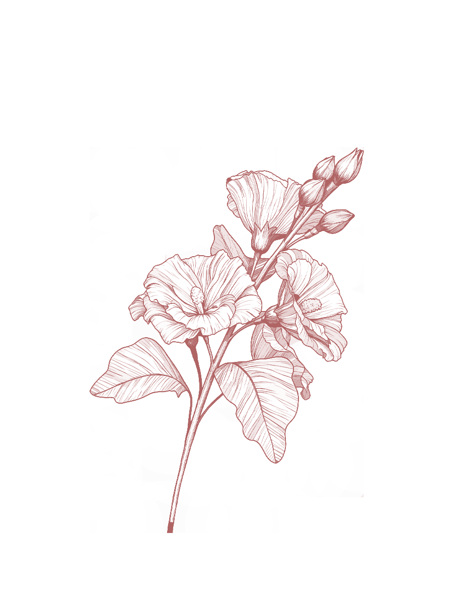  Fleurs en papier crépon 绉纸花