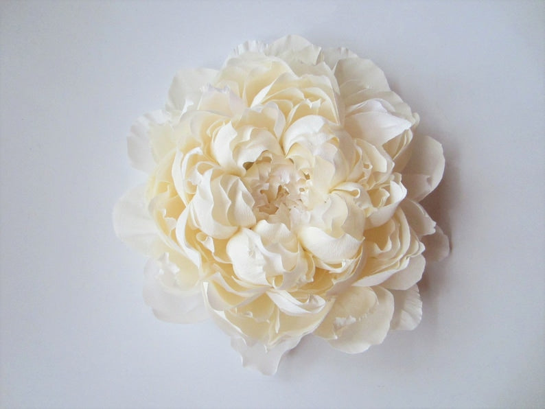 Décorations murales en papier crépon grande pivoine cadeau décoration