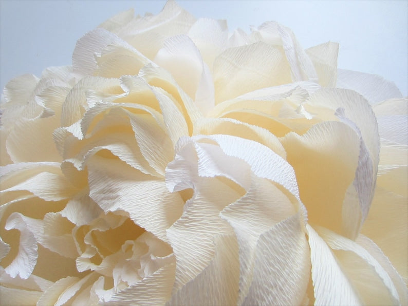 Décorations murales en papier crépon grande pivoine cadeau décoration