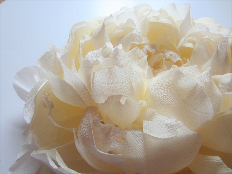 Décorations murales en papier crépon grande pivoine cadeau décoration