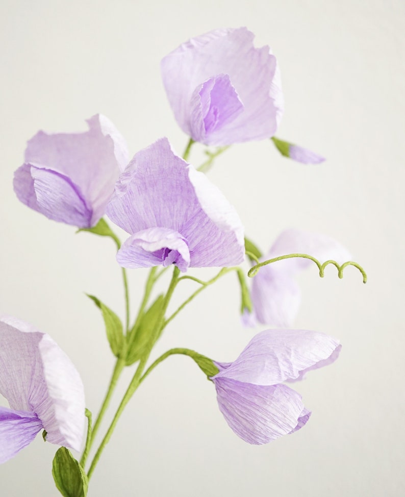 Fleurs en papier crépon pois de senteur liane florale décoration