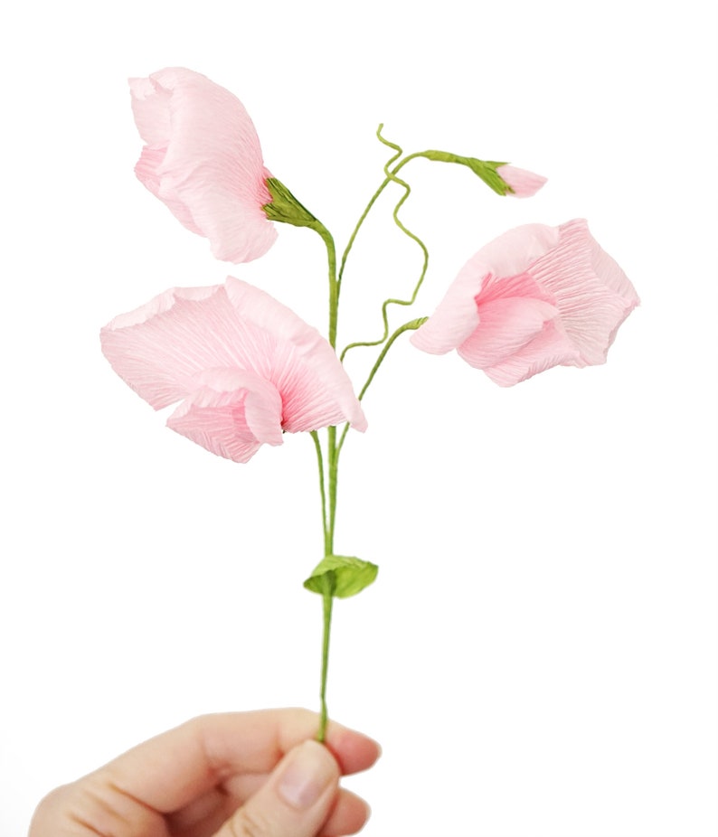 Fleurs en papier crépon pois de senteur liane florale décoration