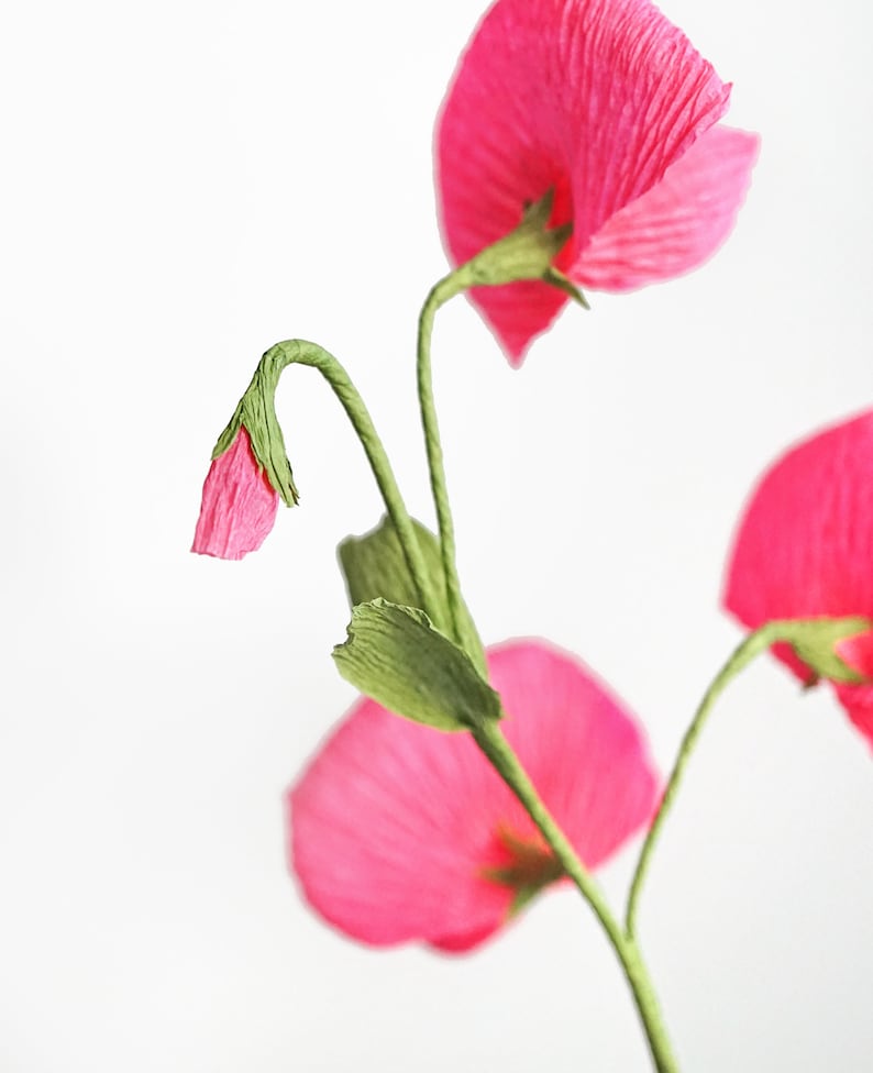 Fleurs en papier crépon pois de senteur liane florale décoration