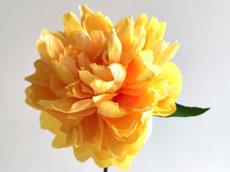 Fleurs en papier crépon pivoines colorées vase décoration mariage