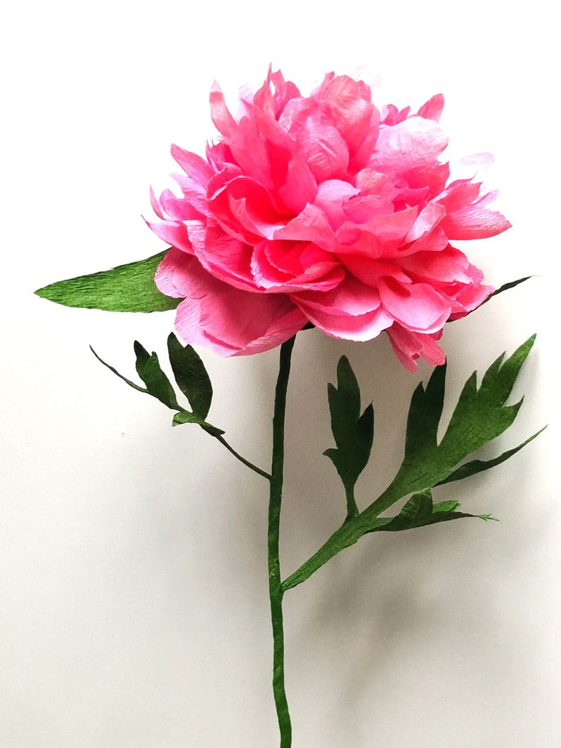 Fleurs en papier crépon pivoines colorées vase décoration mariage