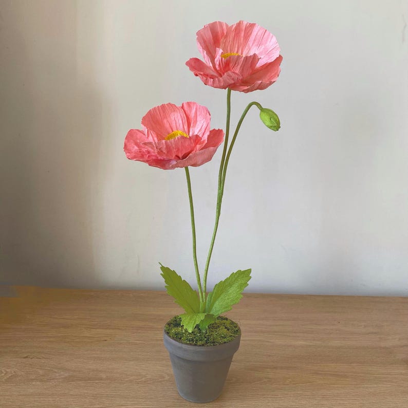 Coquelicots en papier / Cadeau jardin de fleurs / Premier anniversaire / Cadeaux en papier / Fleurs en papier