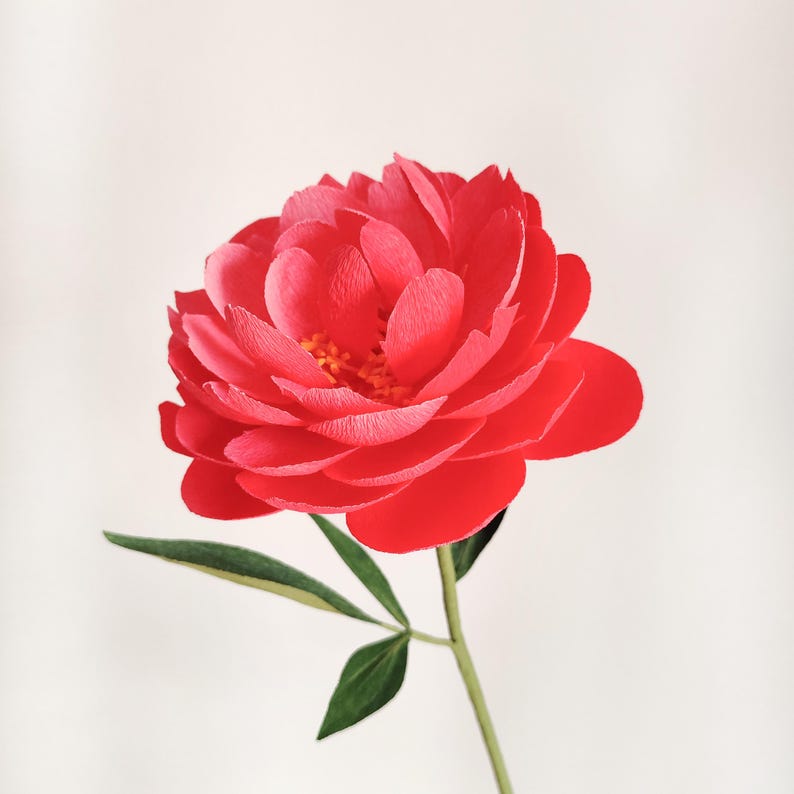 Fleurs en papier crépon pivoines bouquet décoration florale