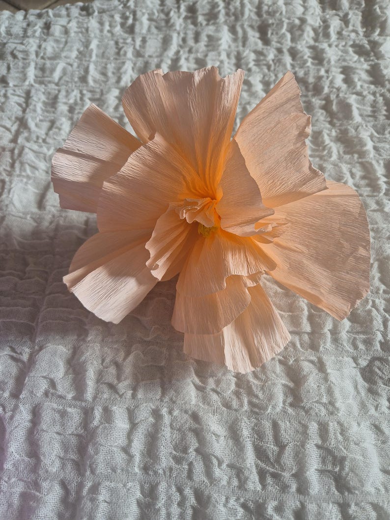 8 pcs de papier crêpe fleur de pivoine décorations de toile de fond de mariage-Décoration nuptiale de douche-Fête de bébé fleurs en papier pompons