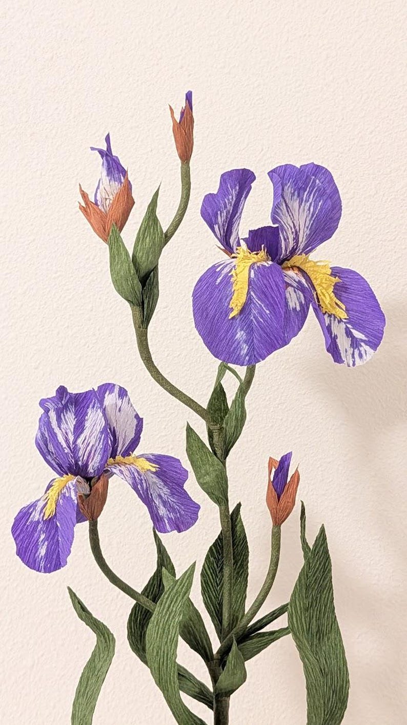 Iris fleurs en papier crépon réalistes en pot de terre cuite