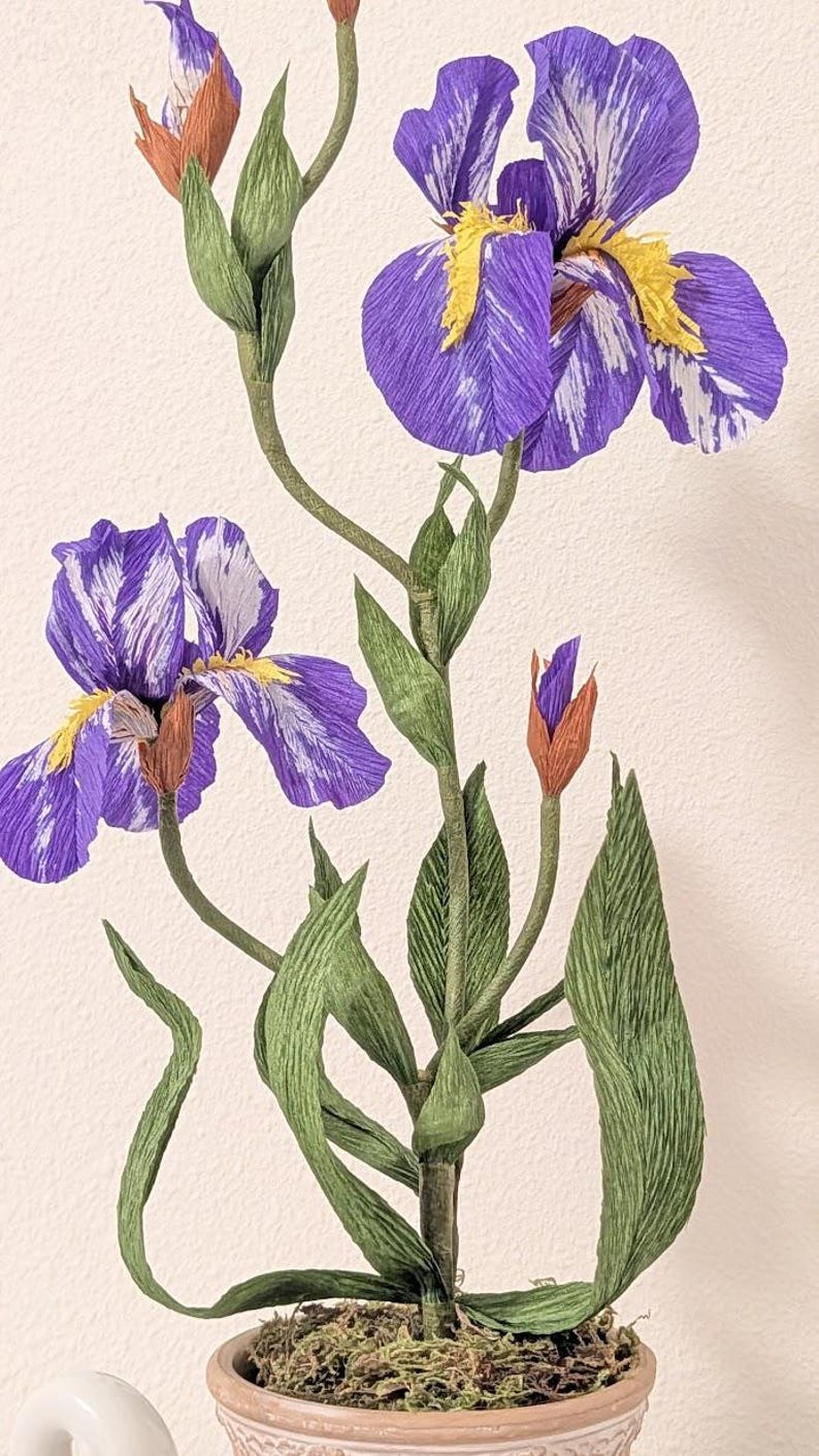 Iris fleurs en papier crépon réalistes en pot de terre cuite