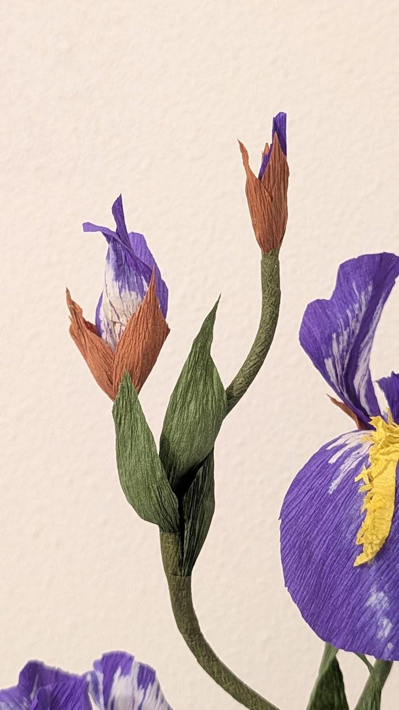 Iris fleurs en papier crépon réalistes en pot de terre cuite