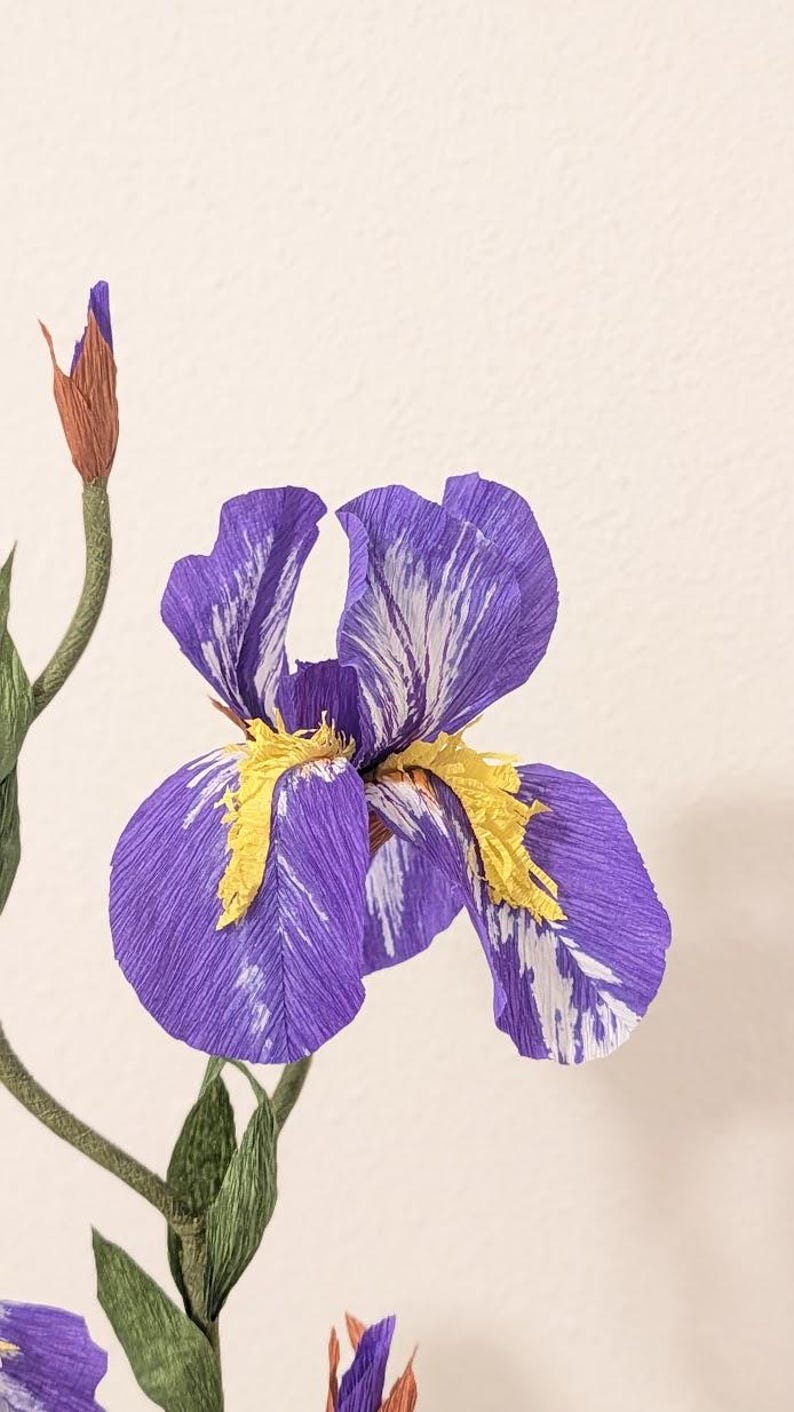 Iris fleurs en papier crépon réalistes en pot de terre cuite