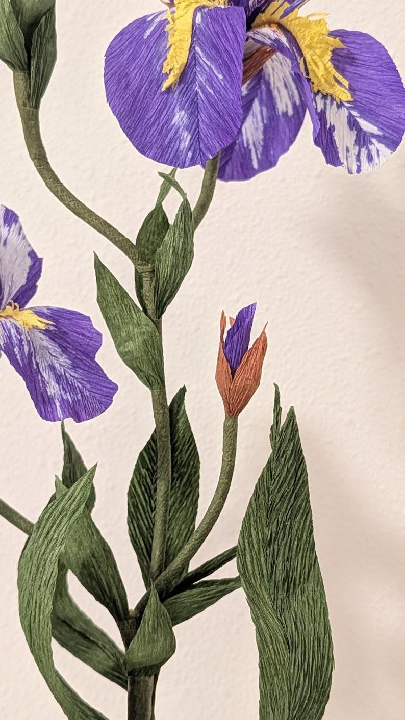 Iris fleurs en papier crépon réalistes en pot de terre cuite