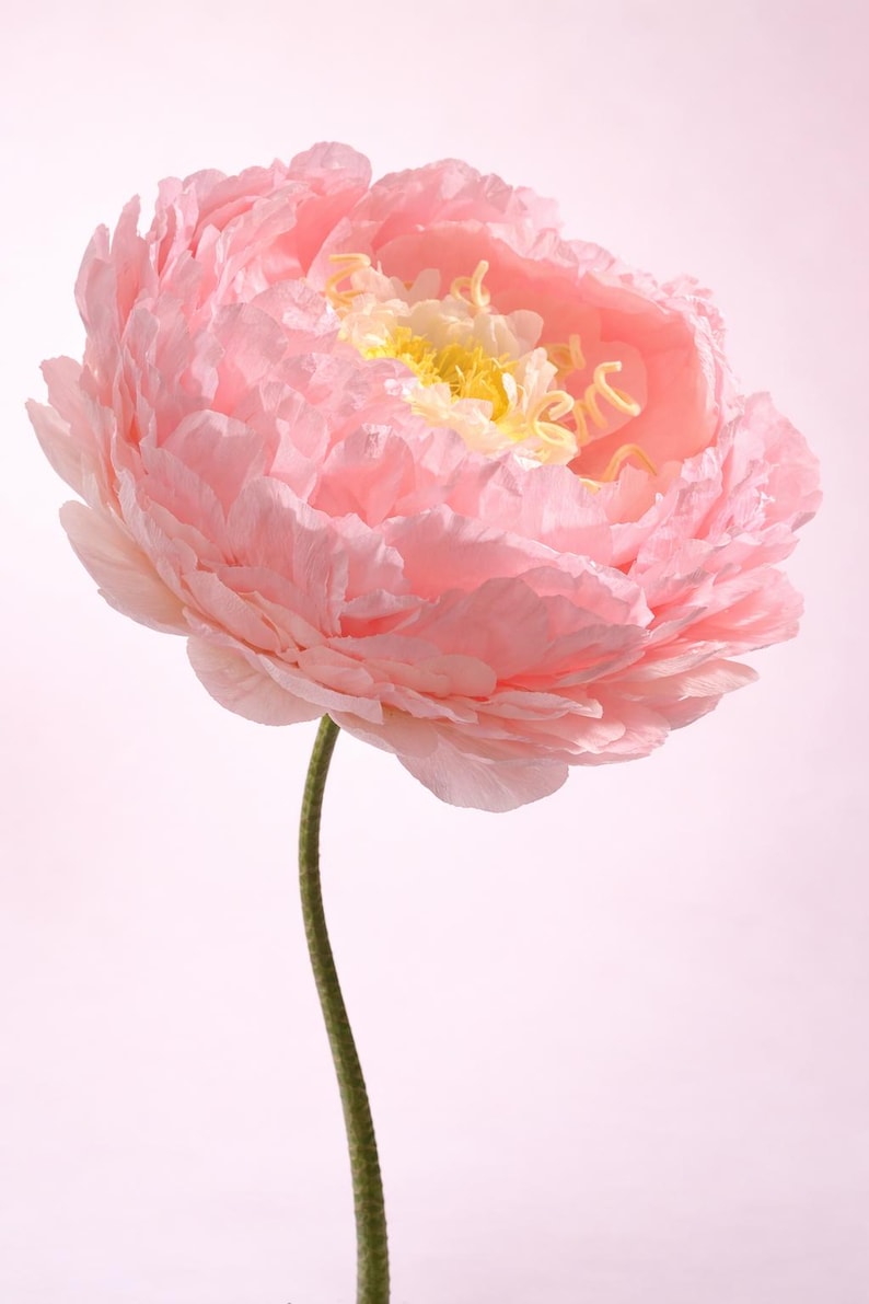 Fleurs géantes en papier et organza - Décoration d'événement, mariage, baby shower, présentoirs de devanture