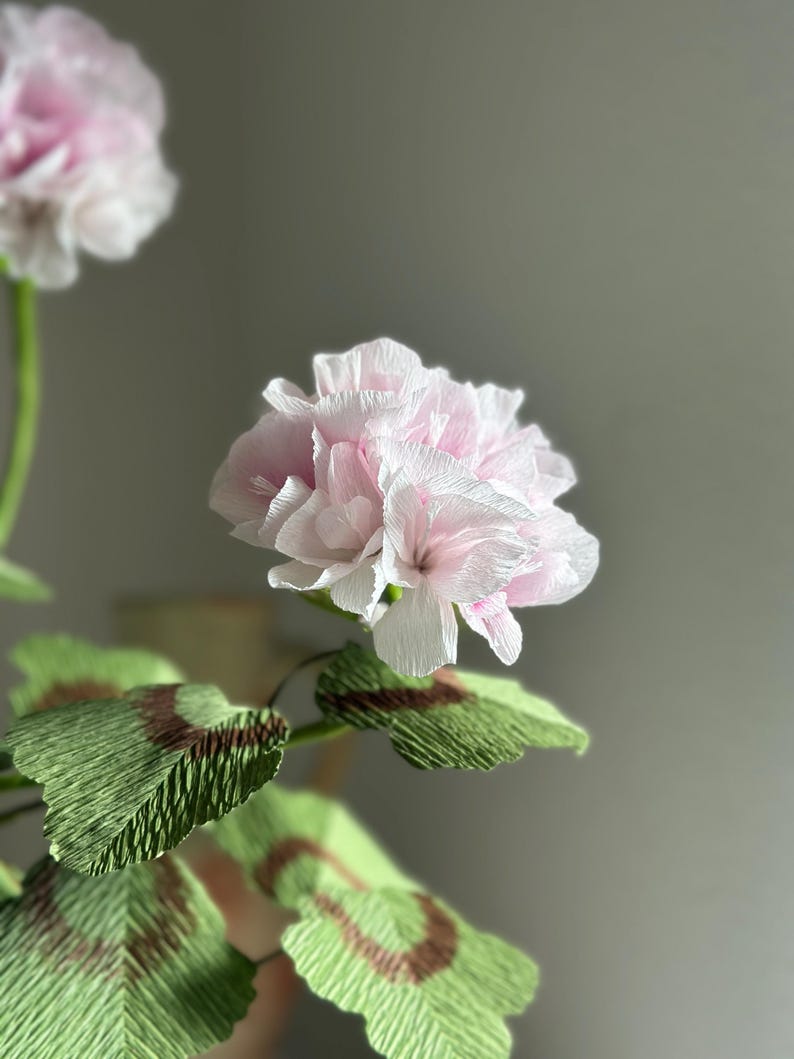 Géranium rose fleurs en papier crépon réalistes en pot de terre cuite