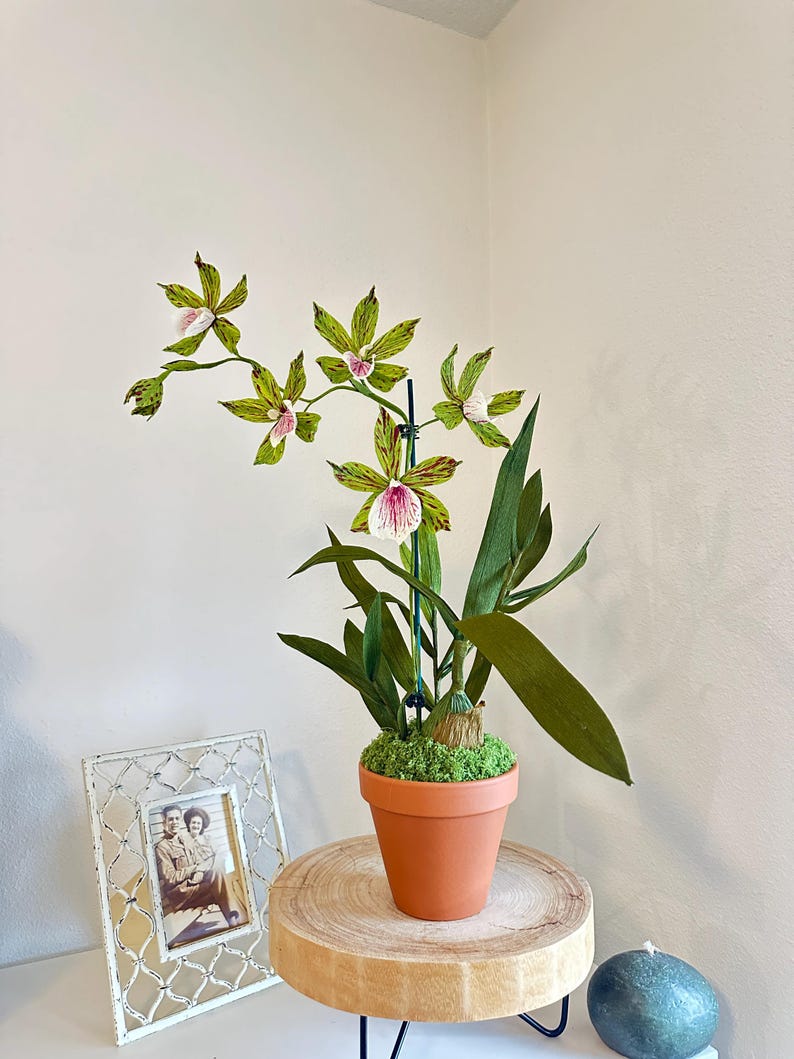 Orchidée fleurs en papier crépon réalistes en pot de terre cuite