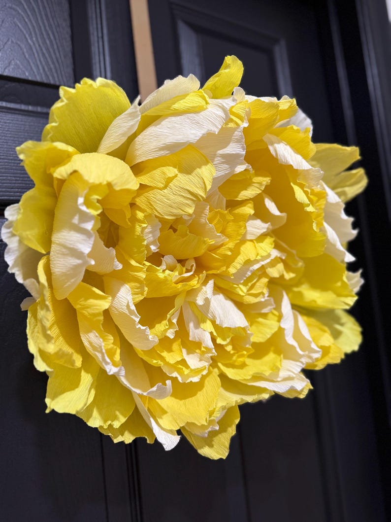 Décorations murales en papier crépon pivoine géante décoration murale