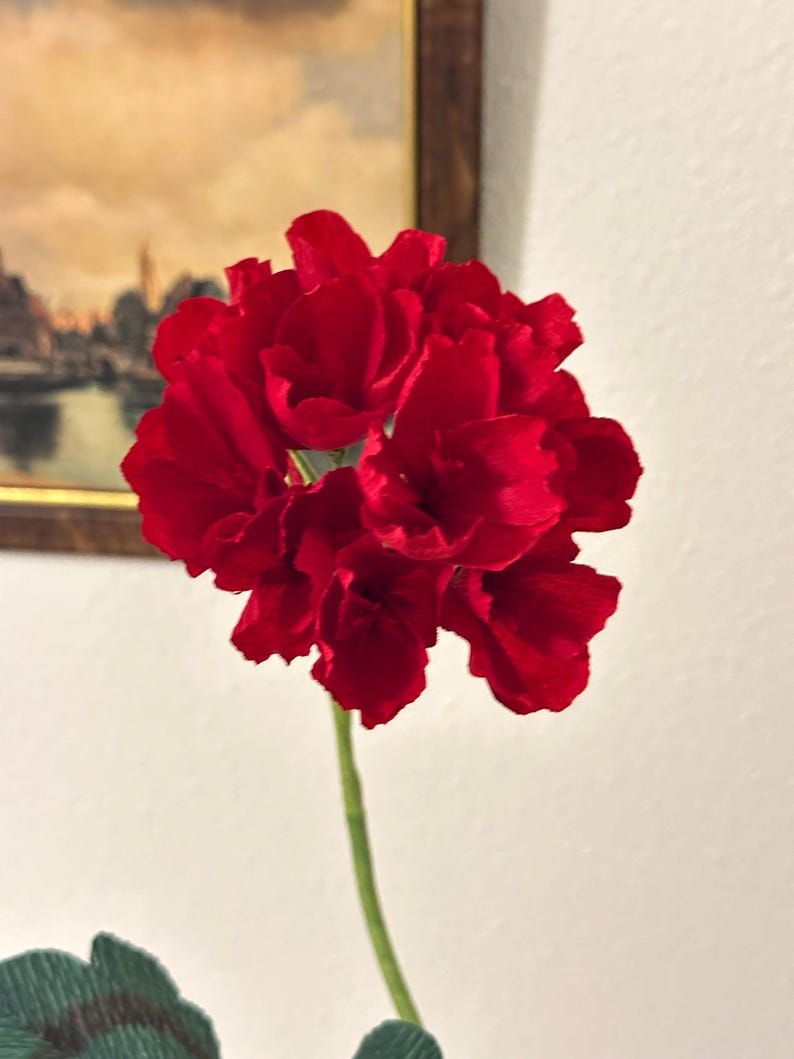 Cadeau en papier 1er anniversaire pour elle - Géranium en papier crêpe rouge réaliste dans un pot en terre cuite - Éternelle botanique - Décoration cottage anglais