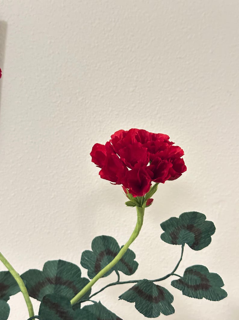 Cadeau en papier 1er anniversaire pour elle - Géranium en papier crêpe rouge réaliste dans un pot en terre cuite - Éternelle botanique - Décoration cottage anglais