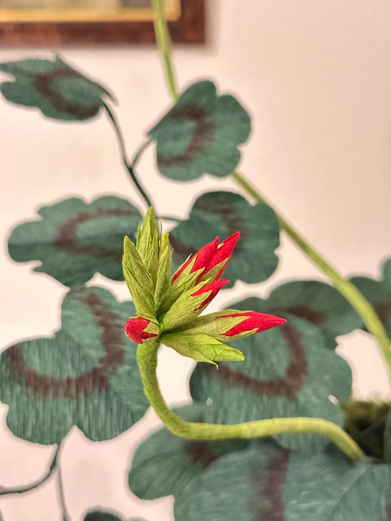 Cadeau en papier 1er anniversaire pour elle - Géranium en papier crêpe rouge réaliste dans un pot en terre cuite - Éternelle botanique - Décoration cottage anglais