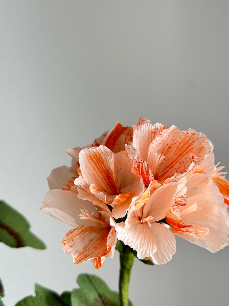 Fleur en papier corail géranium réaliste - Botanique artisanal fait main - Décoration d'intérieur durable - Plante éternelle en pot - Cadeau pour elle