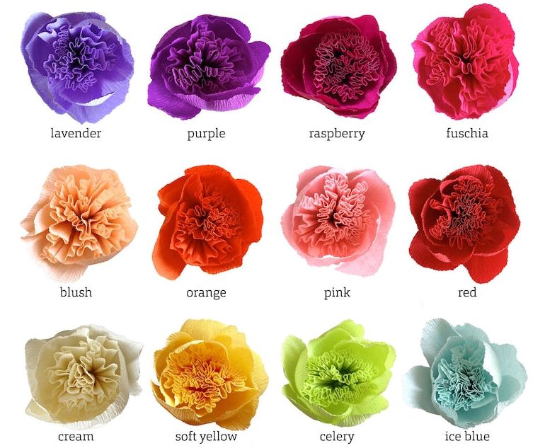 Fleurs en papier crépon pois de senteur liane florale décoration