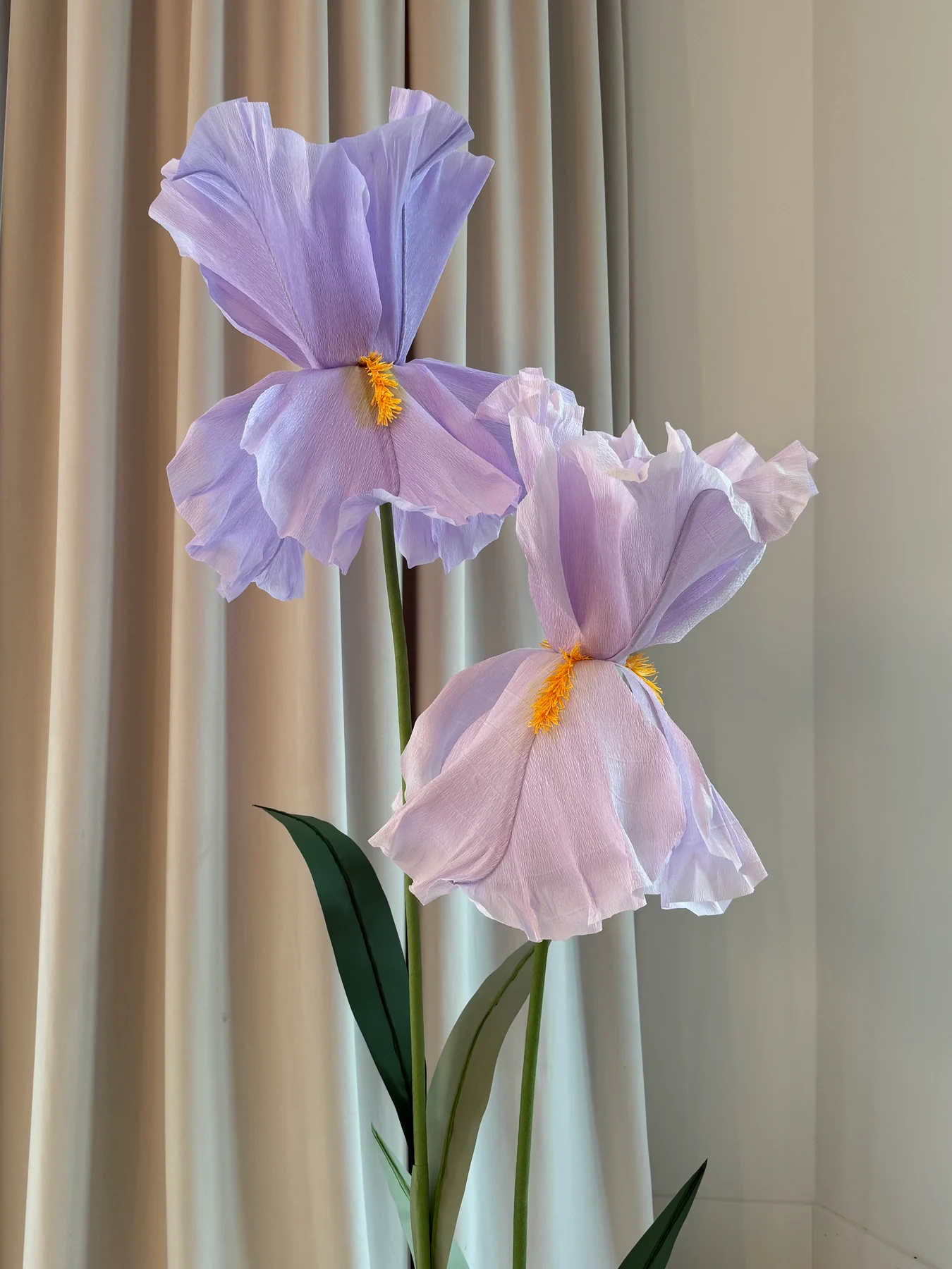 Iris géants en papier - Ensemble de deux iris avec feuilles